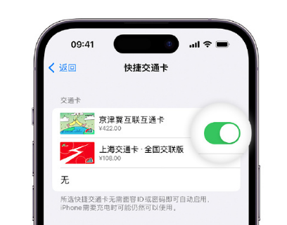 福清apple维修点分享iPhone上更换Apple Pay快捷交通卡手绘卡面 