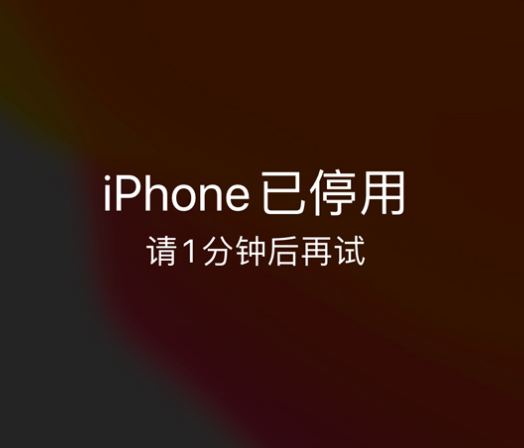 福清苹果手机维修分享:iPhone 显示“不可用”或“已停用”怎么办？还能保留数据吗？ 