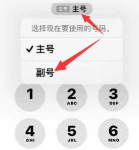 福清苹果14维修店分享iPhone 14 Pro Max使用副卡打电话的方法 