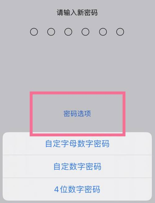 福清苹果14维修分享iPhone 14plus设置密码的方法 